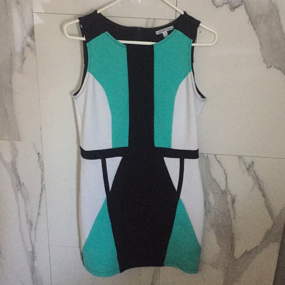 Color Block Dress
